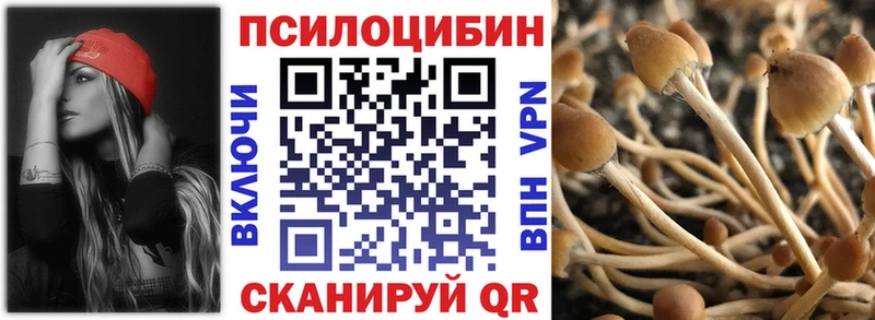 Галлюциногенные грибы Cubensis Купить закладки Батайск